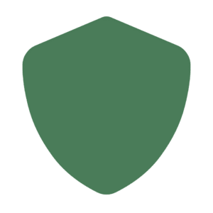Shield icon representing professional growth and protection