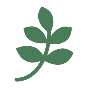 Native plant leaf icon representing wellbeing and balance